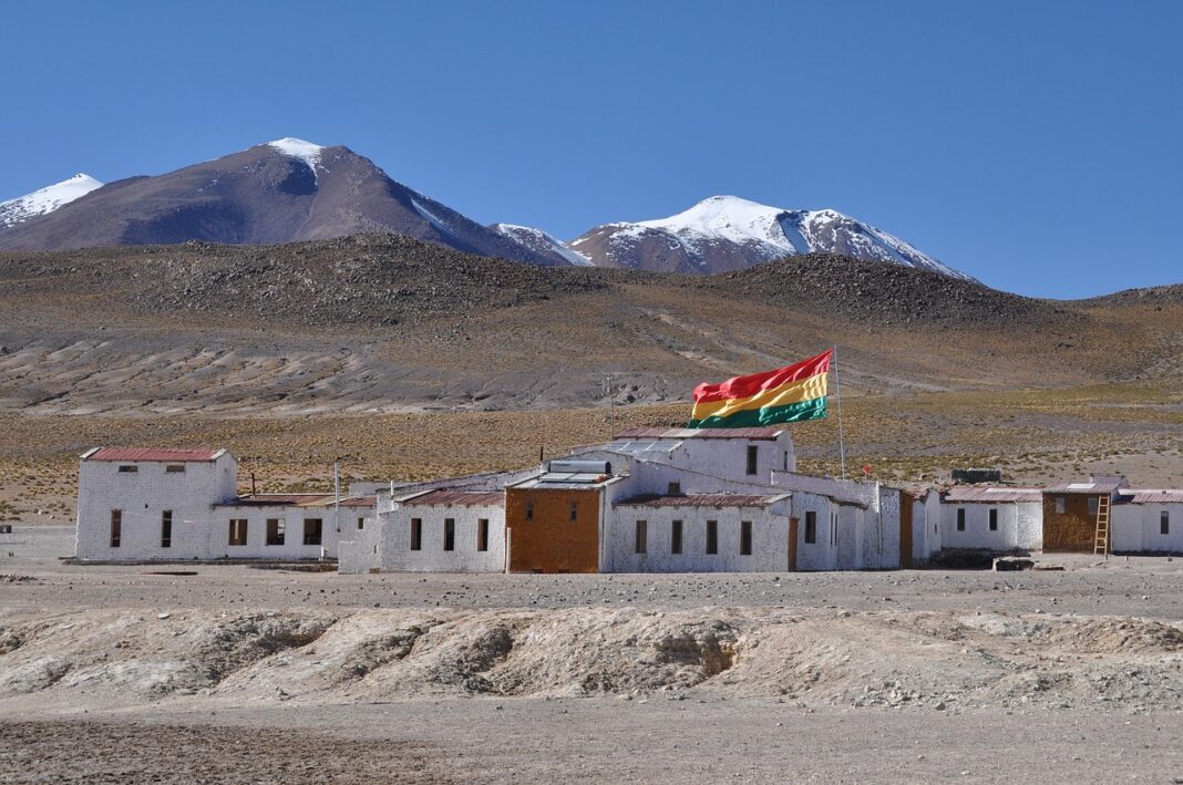 11 oameni au murit, în Bolivia, într-un accident de microbuz condus de un adolescent de 13-14 ani / Vehiculul s-a izbit de un copac