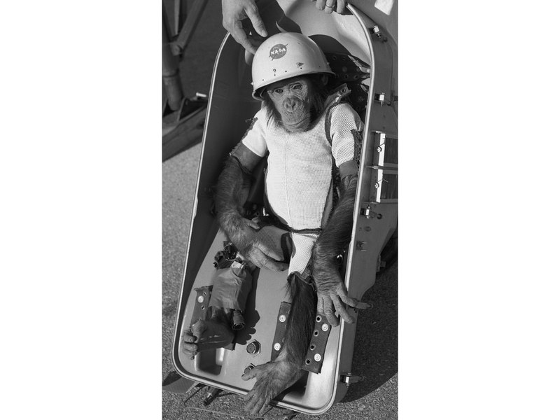 31 ianuarie: Cimpanzeul Ham devine primul primat lansat în spațiu de SUA