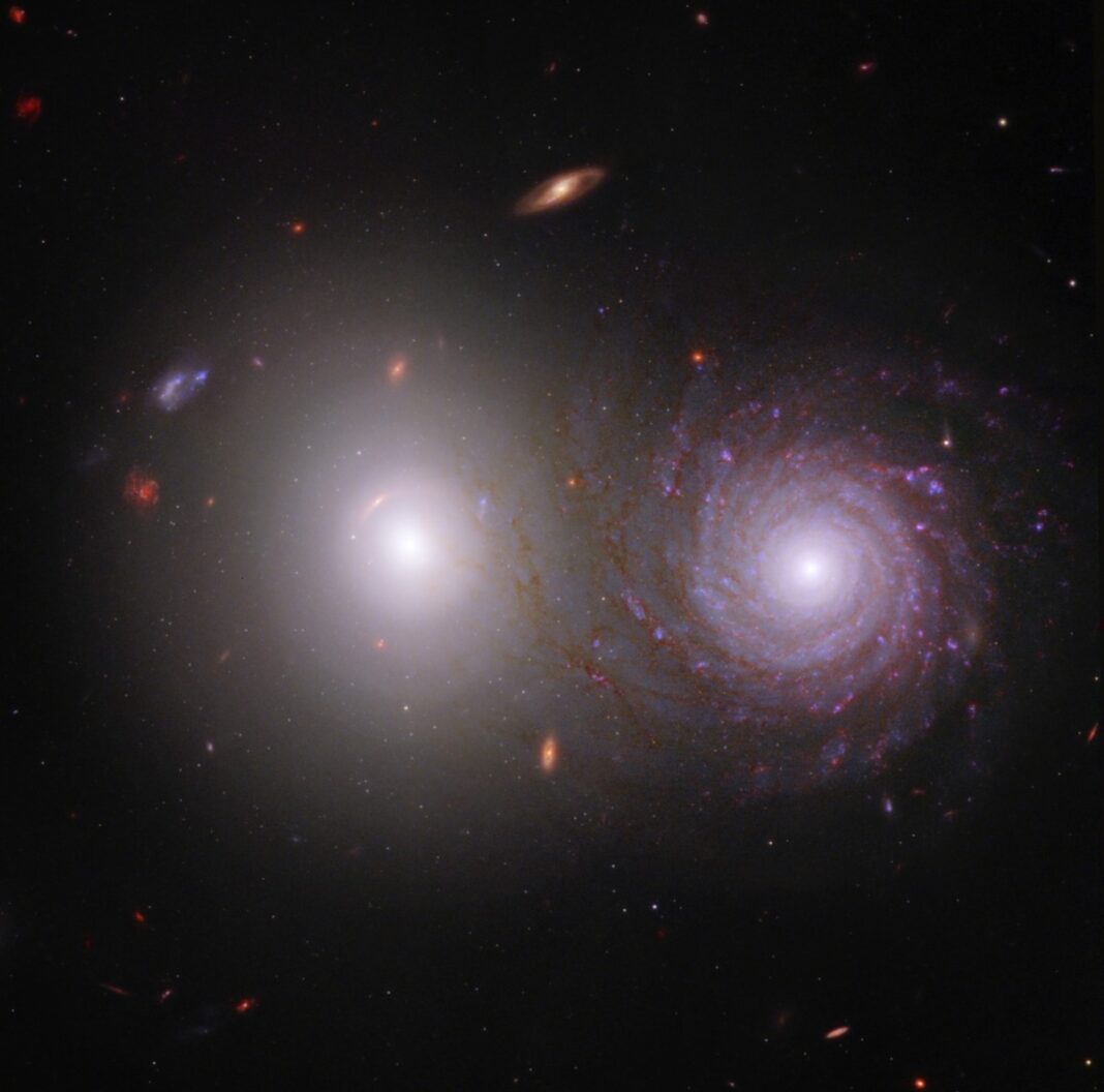 Astronomii au observat o stea pitică albă care generează o undă de şoc neobişnuită, plină de culoare / Steaua preia gaze fierbinţi de la o altă, aflată la o distanţă relativ mică