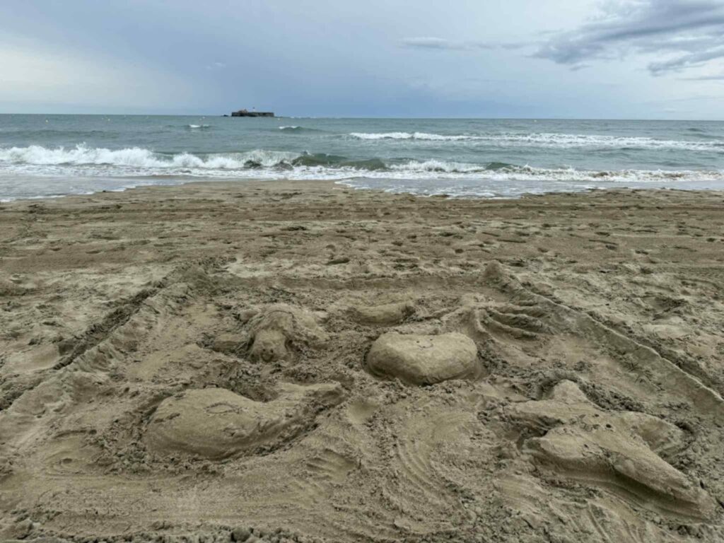 Australia închide zeci de plaje de pe coasta estică după mai multe atacuri ale rechinilor