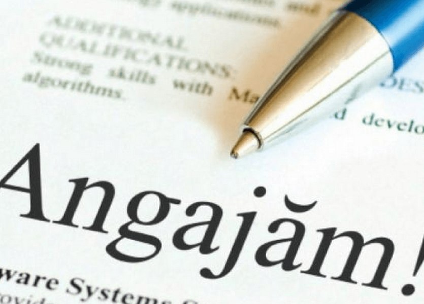 Cartel pe piața muncii: opt companii, prinse și amendate pentru înțelegeri ilegale