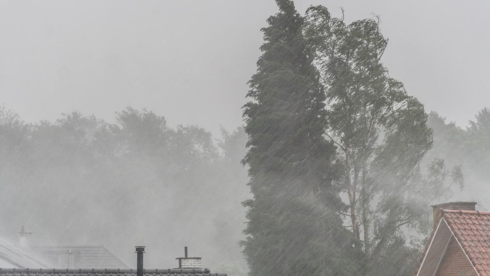 Cod portocaliu de vânt în zona montană din județul Cluj. Rafale de până la 140 kilometri pe oră