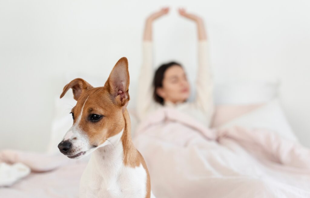 Concediu pentru animale de companie: „Pawternity leave”, trendul care schimbă cultura muncii la nivel global