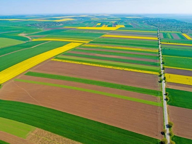 Cum a ajuns pământul agricol din România mai scump decât în Franța