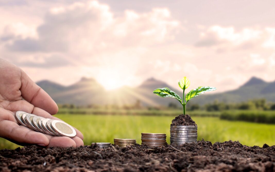 Cum să îți finanțezi achiziția de semințe și îngrășăminte cu ajutorul unui credit agricol de la MK Kredit?