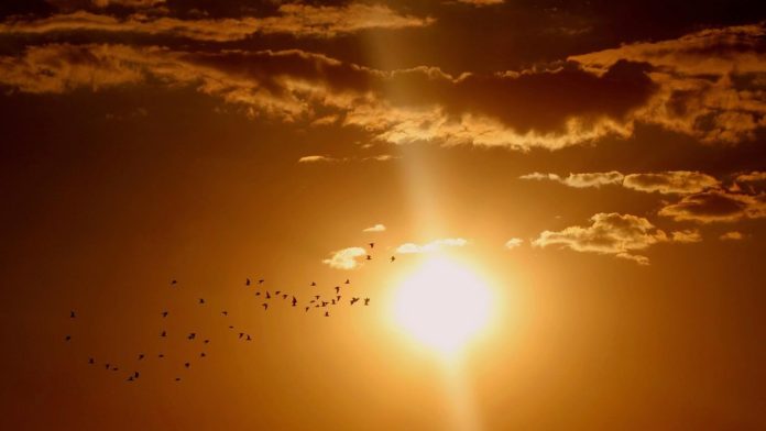 Cum va evolua vremea până la jumătatea lui februarie și când vin temperaturile mai blânde
