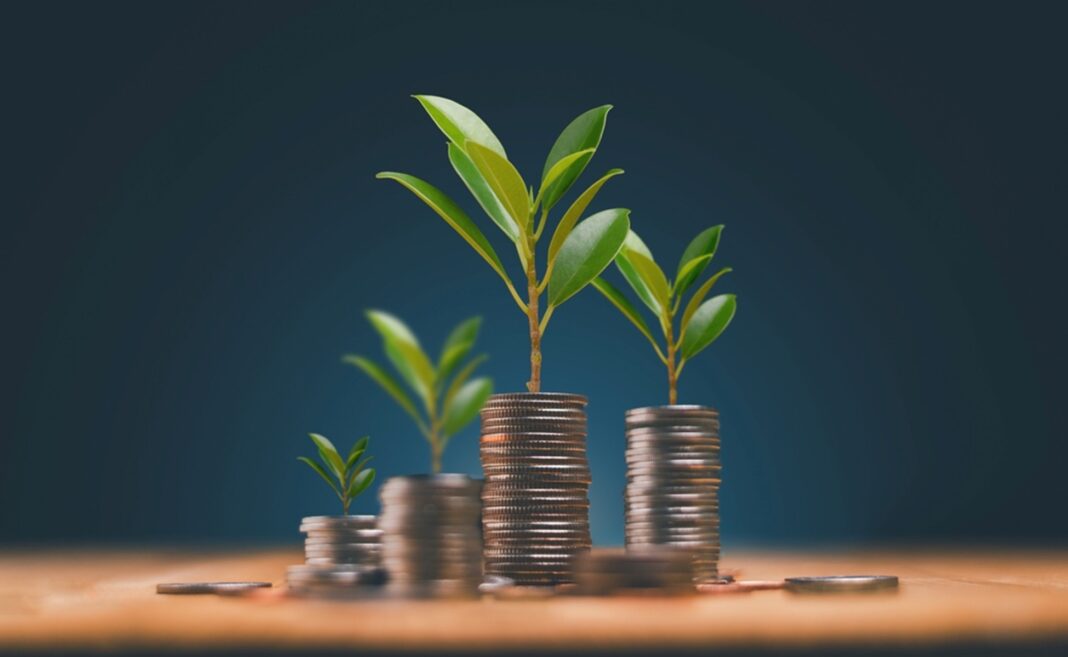 Importanța planificării financiare în obținerea unui credit agricol 