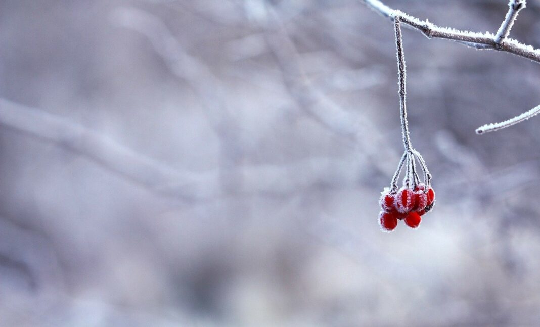 Meteorologii anunță că perioada cu vreme foarte rece se prelungește până spre mijlocul lunii februarie