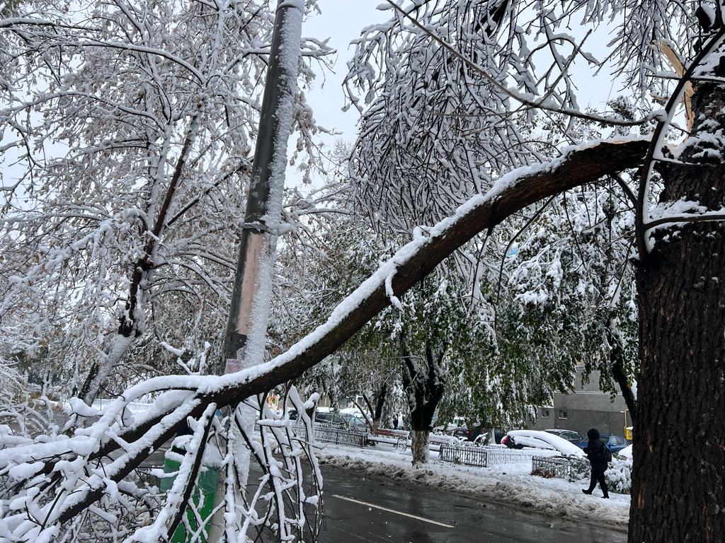 Mii de utilizatori fără electricitate din cauza ninsorilor în Hunedoara și Timiș / Peste 30  de echipe de intervenţie se află în teren