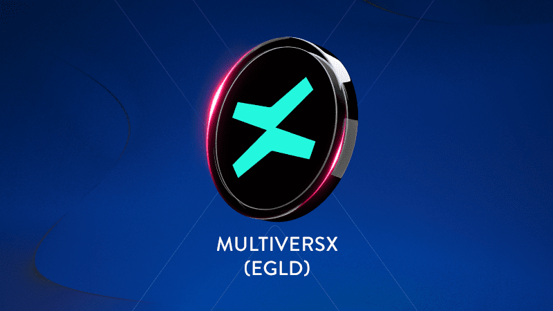 MultiversX anunță ”proces controlat de restructurare” / Criptomoneda românească a ajuns să valoreze 5,8 dolari / Vârful a fost în 2021, când valora peste 400 de dolari