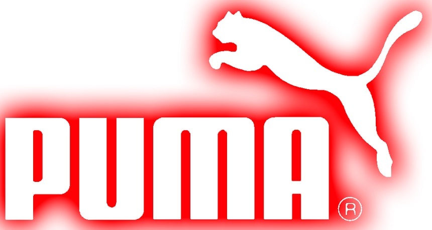 NEWS.ro: Anta Sports a cumpărat 29% din Puma, pentru 1,8 miliarde de dolari; Creştere puternică a acţiunilor puma