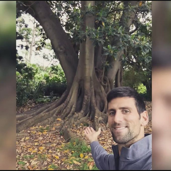 NEWS.ro: Djokovici, despre legătura sa cu un smochin brazilian: Este cel mai vechi prieten pe care îl am la Melbourne - VIDEO