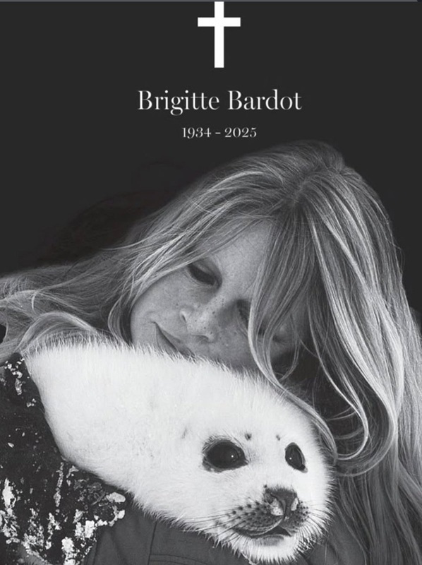 NEWS.ro: Funeraliile actriţei Brigitte Bardot - Ceremonie intimă la cimitirul marin din Saint-Tropez/ Macron a trimis un buchet de flori/ Mireille Mathieu a interpretat a capella „Panis Angelicus”