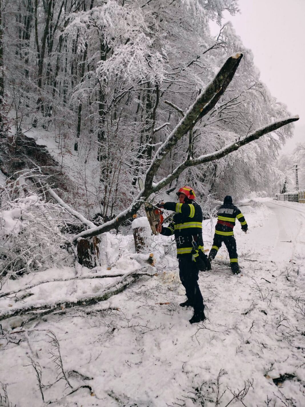 NEWS.ro: Hunedoara: Echipajele ISU au avut 34 de intervenţii după căderile masive de zăpadă, în principal pentru îndepărtarea copacilor prăbuşiţi sau a unor cabluri căzute/ Peste 15.000 de consumatori nu au electricitate