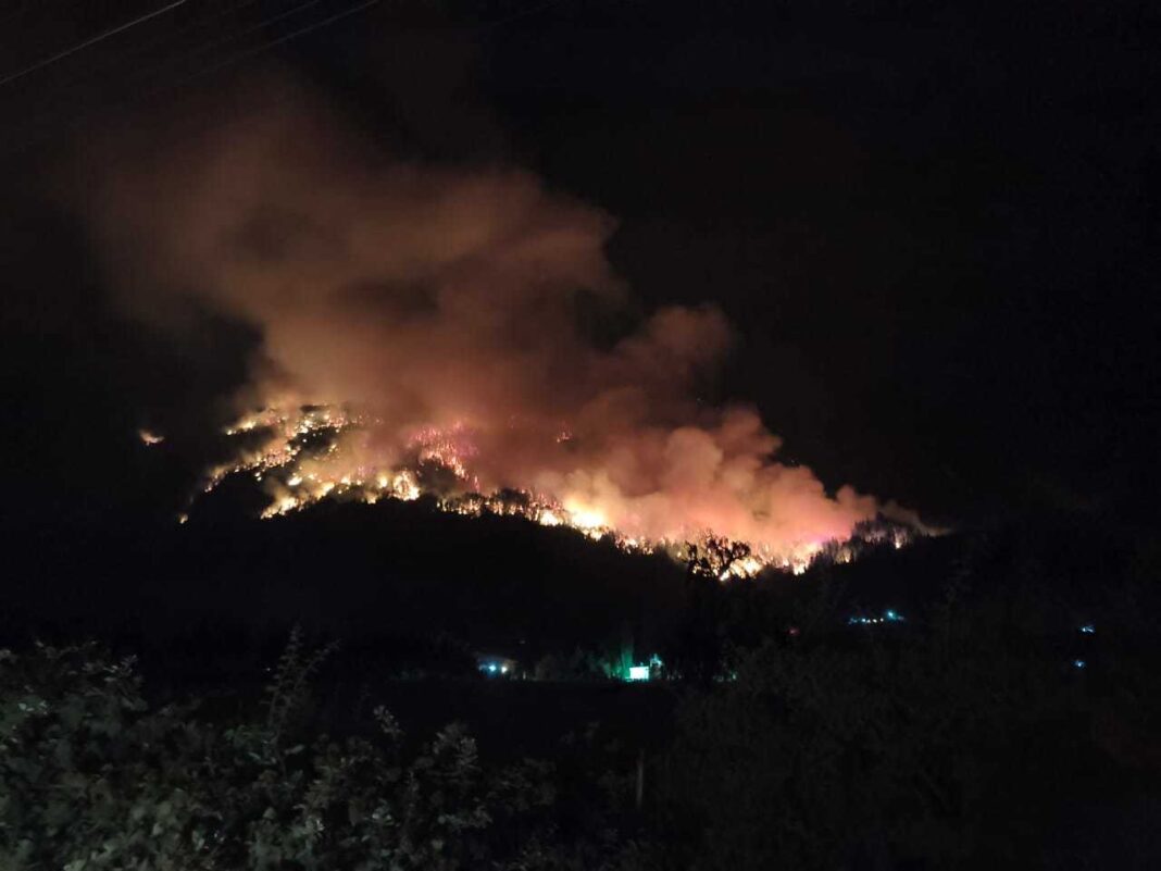 NEWS.ro: Incendii de pădure în Patagonia argentiniană – Guvernul declară ”stare de urgenţă din cauza incendiilor”