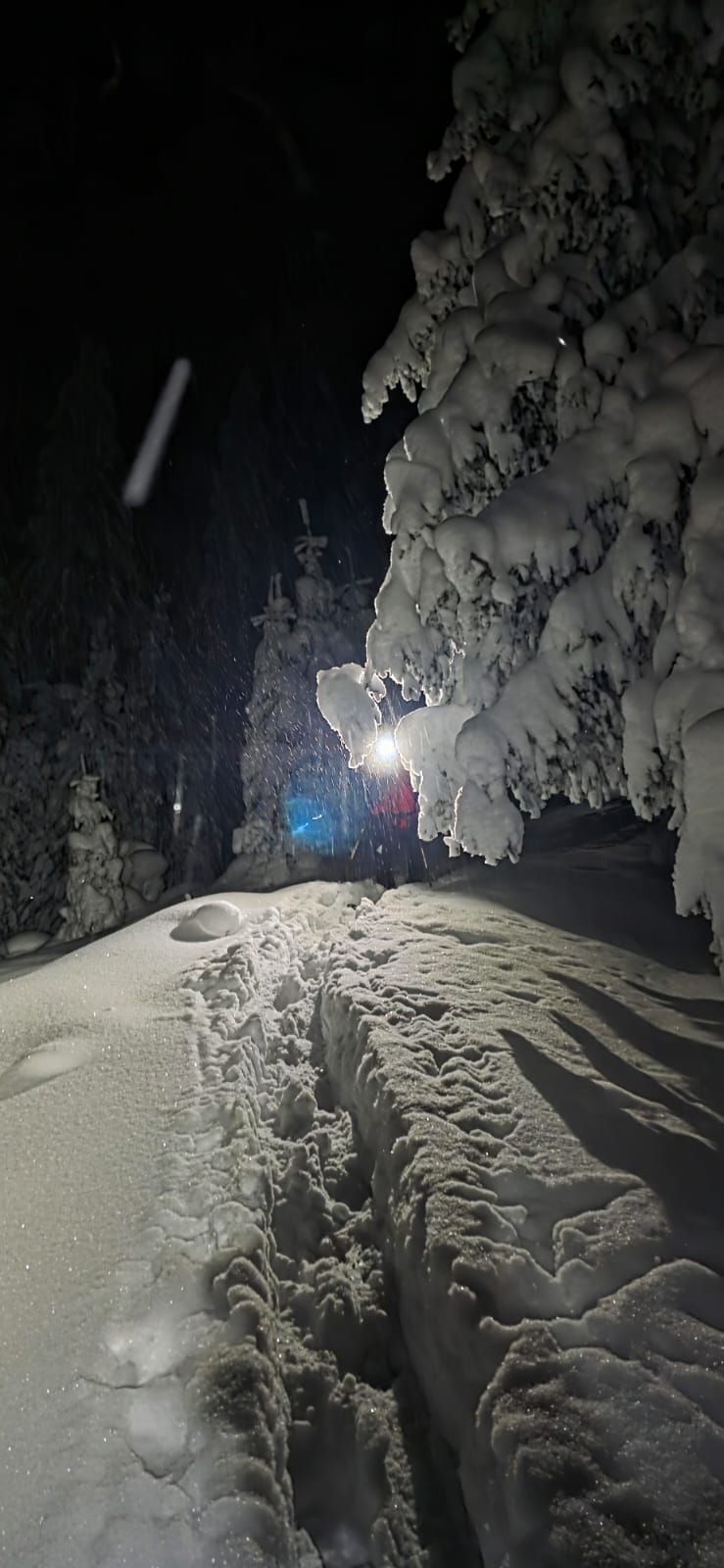 NEWS.ro: Intervenţie a salvamontiştilor pentru recuperarea a doi tineri ucraineni dintr-o zonă greu accesibilă din Munţii Maramureşului/ Misiunea, în condiţii foarte dificile, cu temperaturi foarte scăzute şi strat de zăpadă de doi metri