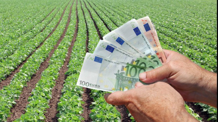 NEWS.ro: Ministerul Agriculturii: Fonduri de 527,8 milioane euro au fost autorizate la plată pentru 777.670 de fermieri