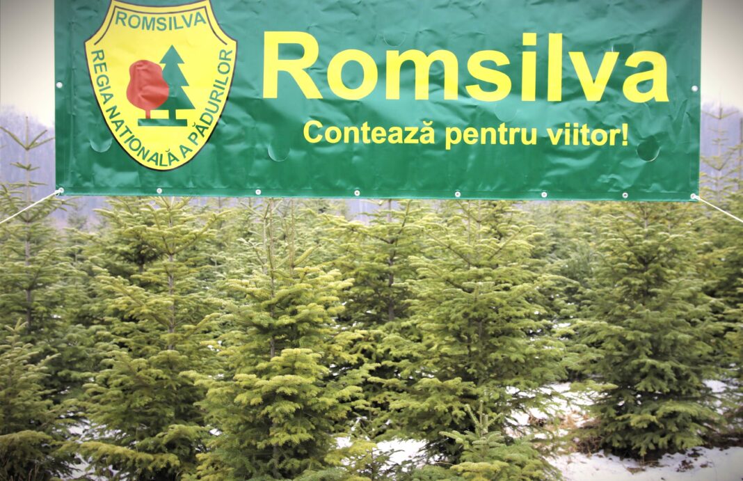 NEWS.ro: Ministerul Mediului anunţă lamsarea procesului de recrutare pentru funcţia de director general al Romsilva / Candidaturile se depun până în 16 februarie