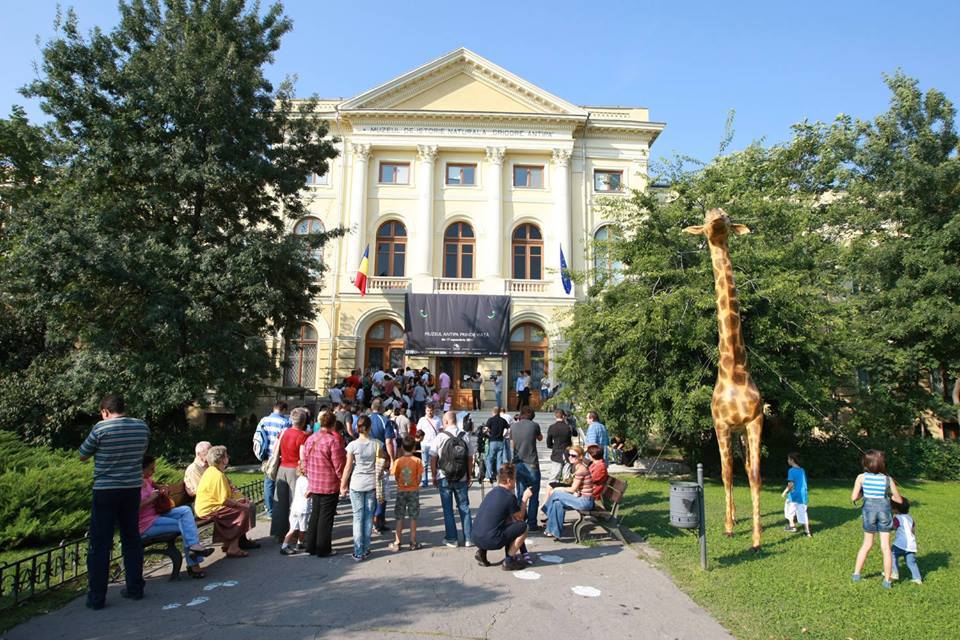 NEWS.ro: Muzeul „Grigore Antipa”, vizitat în 2025 de peste 500.000 de persoane/ 76.059 de exemplare noi în colecţiile ştiinţifice de vertebrate şi nevertebrate