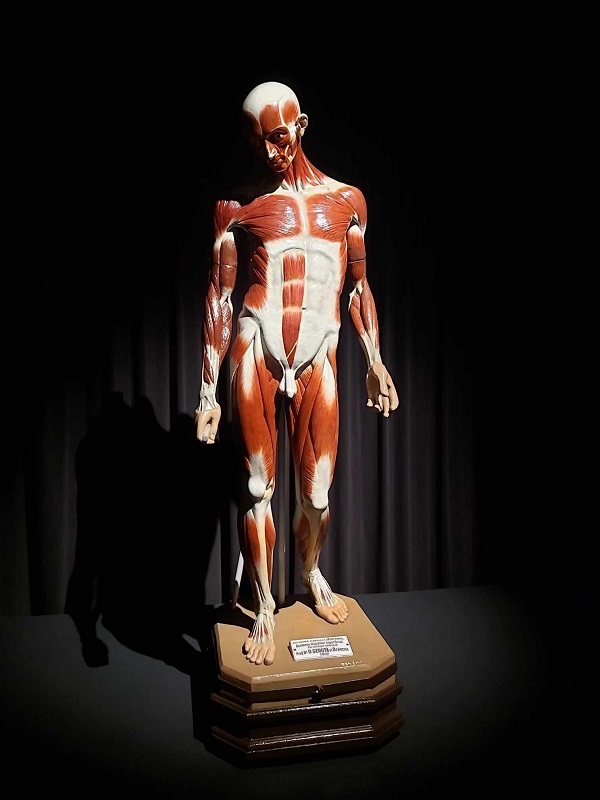 NEWS.ro: Primele lucrări din opera lui Brâncuşi, mai puţin cunoscute publicului, analizate la Academia Română