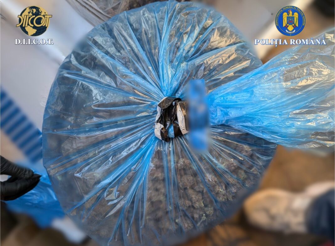 NEWS.ro: Procurorii DIICOT au reţinut doi bărbaţi, suspectaţi de trafic internaţional de droguri / Au fost prinşi când ridicau un colet, adus din Spania de către o firmă de curierat