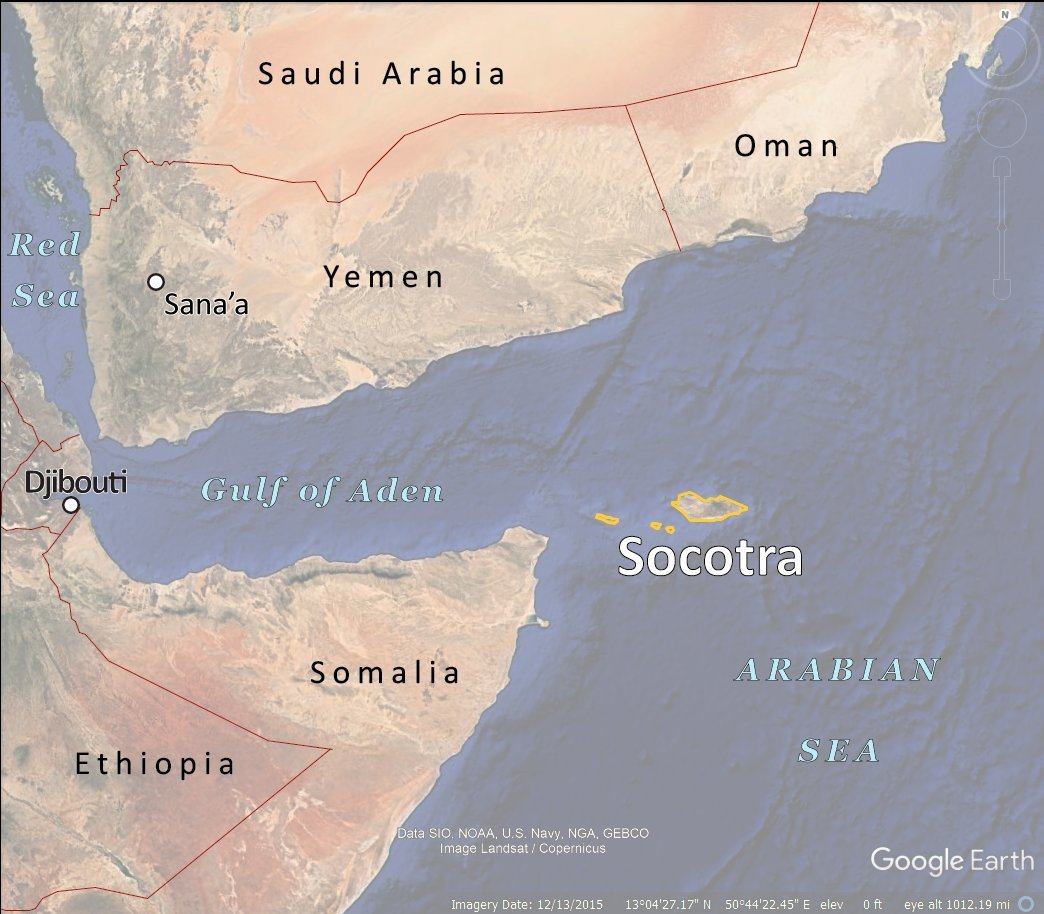 NEWS.ro: Turişti străini au rămas blocaţi pe o insulă pustie din Yemen. Printre ei se numără şi o româncă