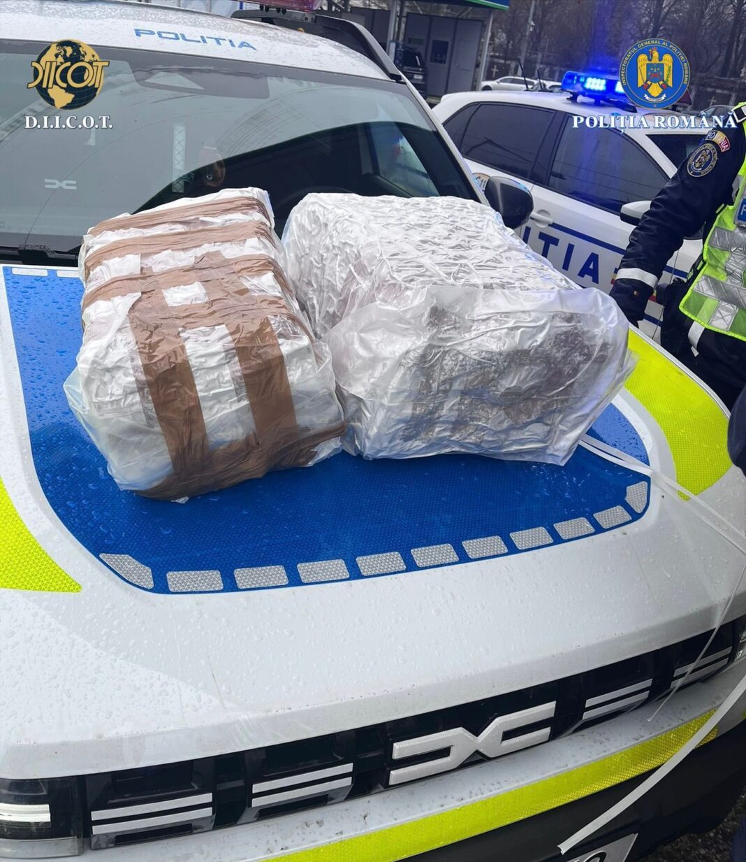 NEWS.ro: Vrancea: 15 kilograme de canabis, descoperite de poliţişti într-un autoturism. Cinci persoane, cercetate pentru trafic de droguri - FOTO