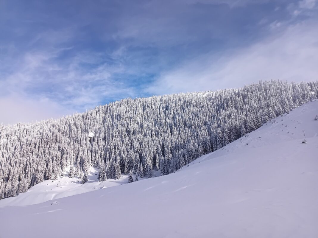 NEWS.ro: Zăpadă şi de doi metri în zona montană a judeţului Suceava / Mai multe trasee, nerecomandate / Avertismentul Salvamont