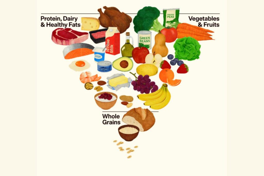 Noua ordine alimentară. Administrația Trump răstoarnă „piramida alimentară” a ultimelor decenii. Noua recomandare pune accent pe carnea roșie și lactate dar declară război alimentelor ultraprocesate și lasă libertate de alegere pentru alcool