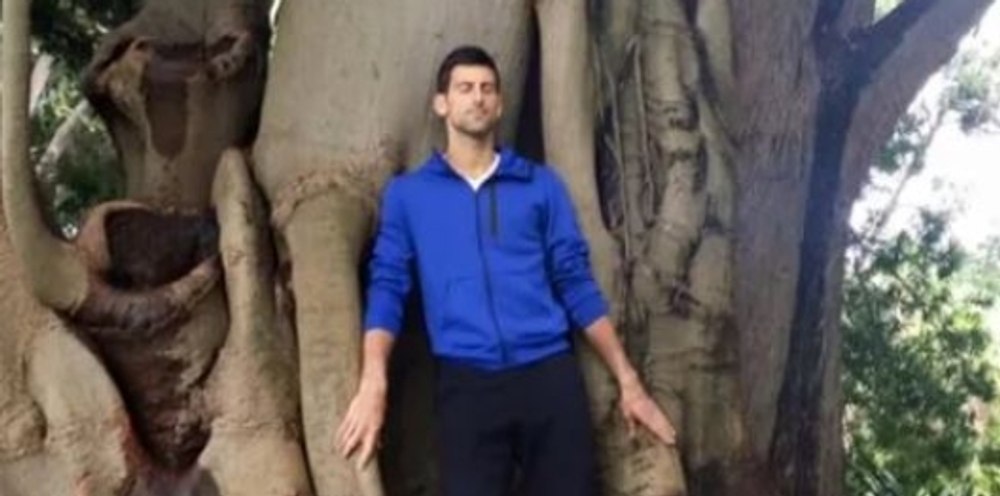 Novak Djokovic îmbrățișează un anumit din Grădina Botanică de la Melbourne
