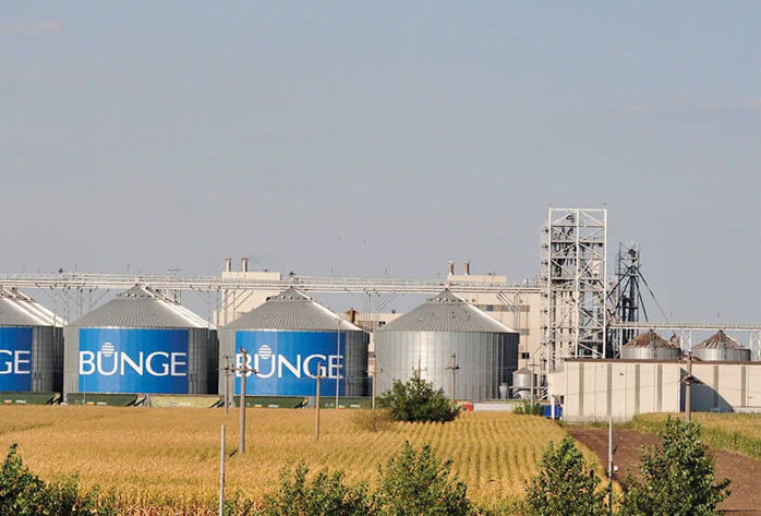 O fuziune de 1,3 mld. lei în agrobusinessul românesc: Bunge România, deţinut de investitori americani, absoarbe Viterra România şi Viterra Romsiloz