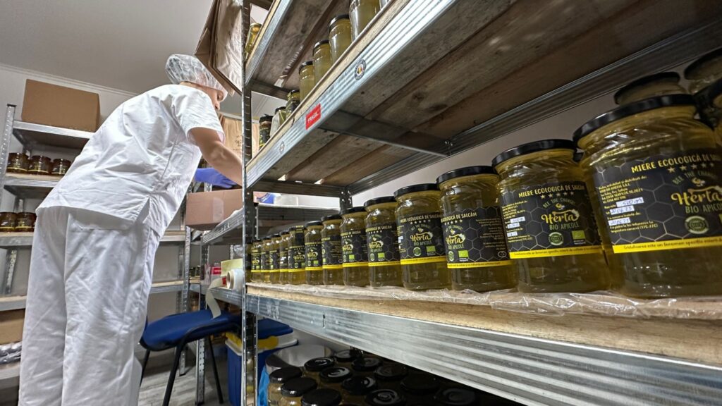 Paradoxal, apicultorii români își pun speranțe în acordul Mercosur – UE: „Ar putea fi o contrapondere la mierea falsificată din Asia”