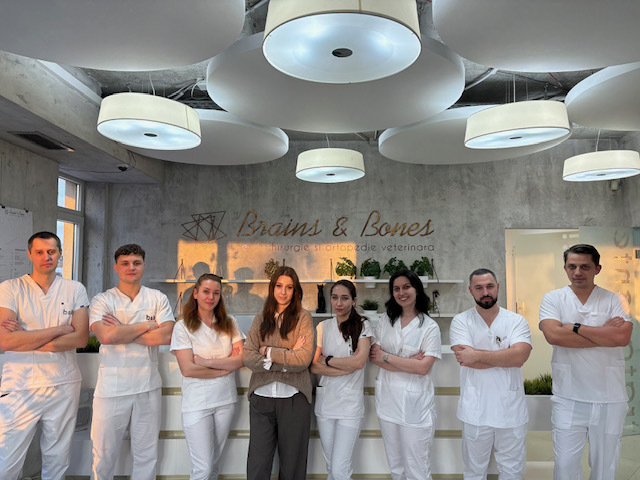 PartnerVet face prima achiziţie din 2026 şi preia Brains & Bones, spital specializat în neurochirurgie şi ortopedie veterinară