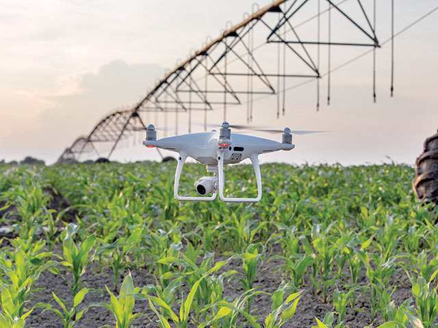 Previziuni 2026. Agricultură. Cum va fi acest an pentru agrobusiness. Se estimează o recoltă de cereale mai mare, dar obţinută cu îngrăşăminte mai scumpe. Fermierii rămân nemulţumiţi de subvenţii şi de acordul comercial Mercosur