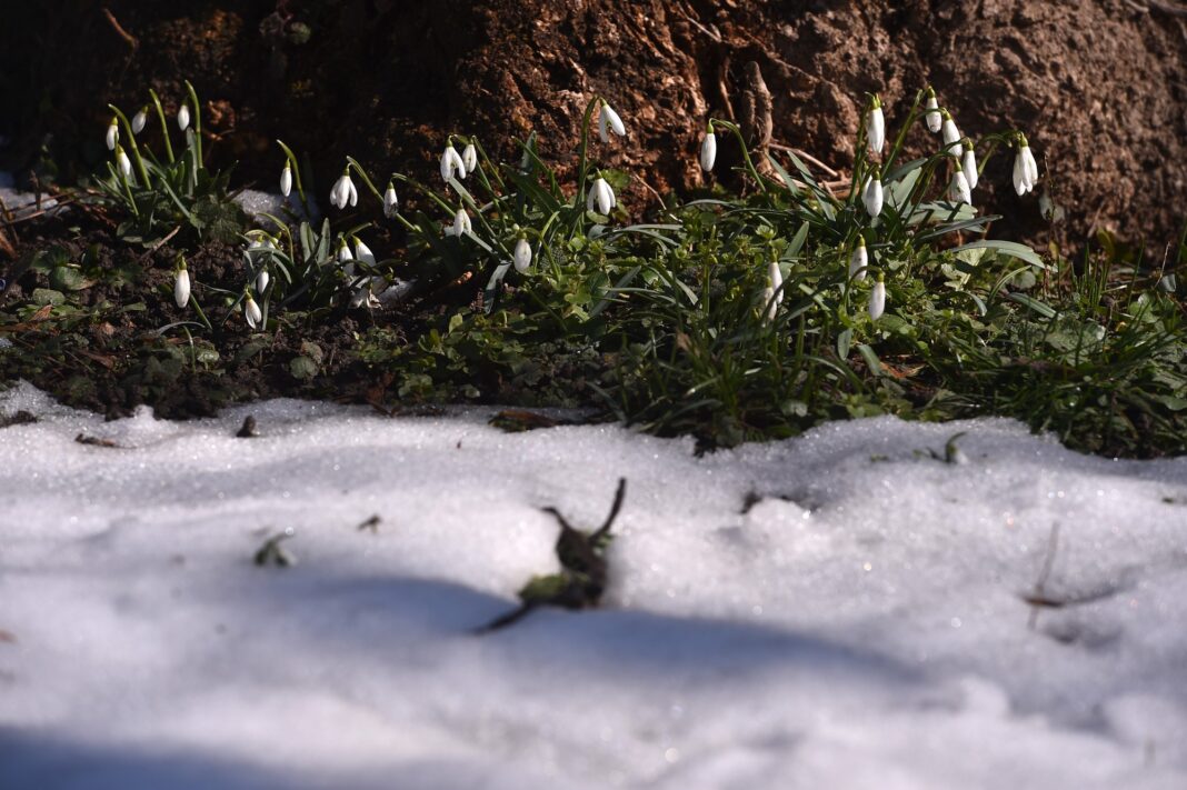 Prognoza pe patru săptămâni: Vreme mai caldă decât normalul și ploi peste medie în sud și est