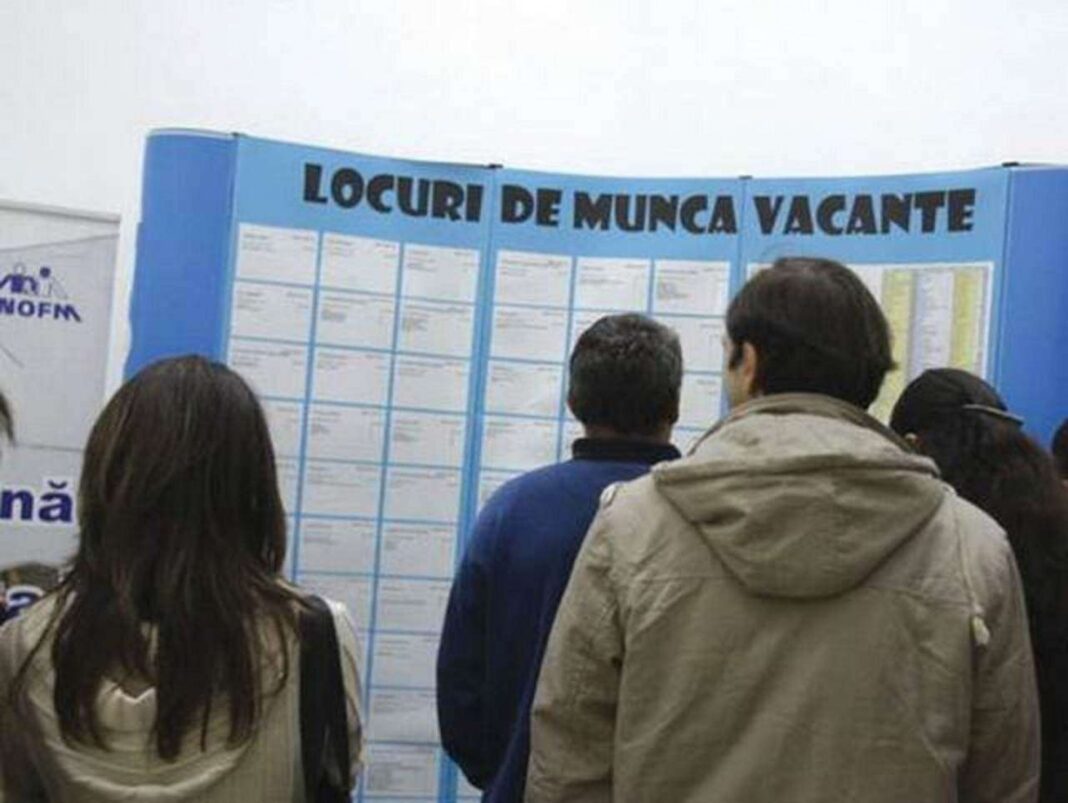 Rata şomajului în România rămâne stabilă: femeile mai afectate decât bărbaţii