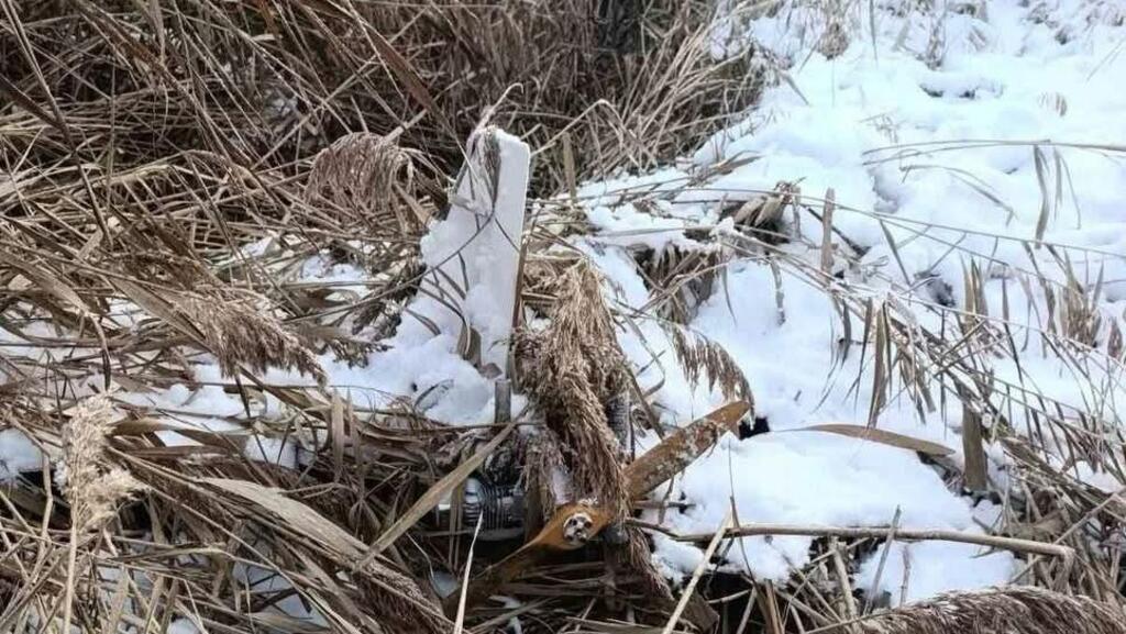 RFI: O dronă rusească de tip Gerbera a fost găsită pe malul unui lac din raionul Telenești, R.Moldova