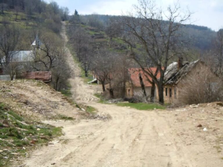 România pierde populație și îmbătrânește accelerat: migrația nu mai acoperă declinul natural
