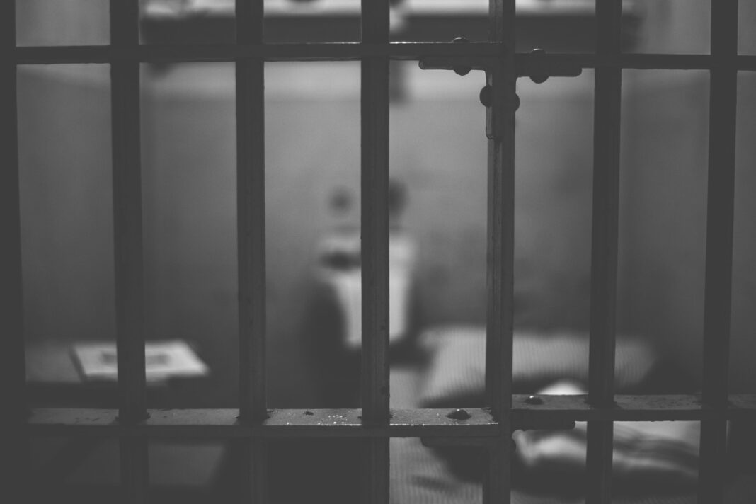 Trei ani de închisoare, cu executare, pentru un bihorean care a spânzurat câinele unui vecin