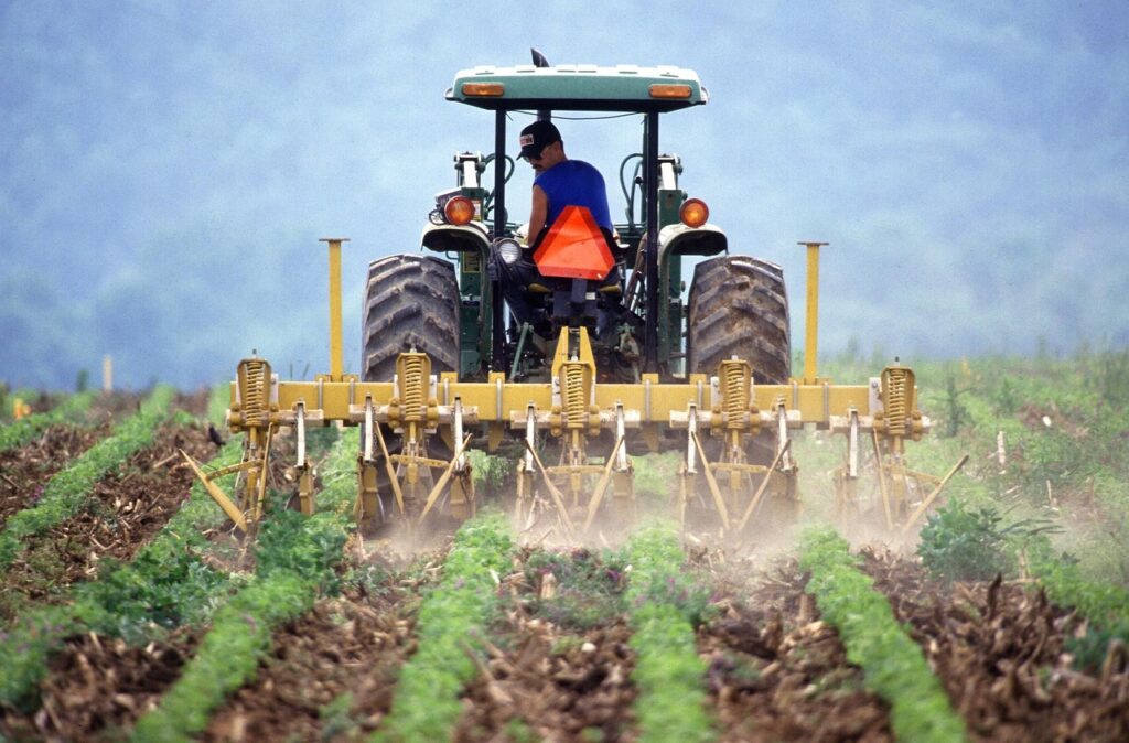 UE a plătit fermierilor din România peste 4 miliarde de euro în doi ani, dar unii fermieri critică non-stop Europa
