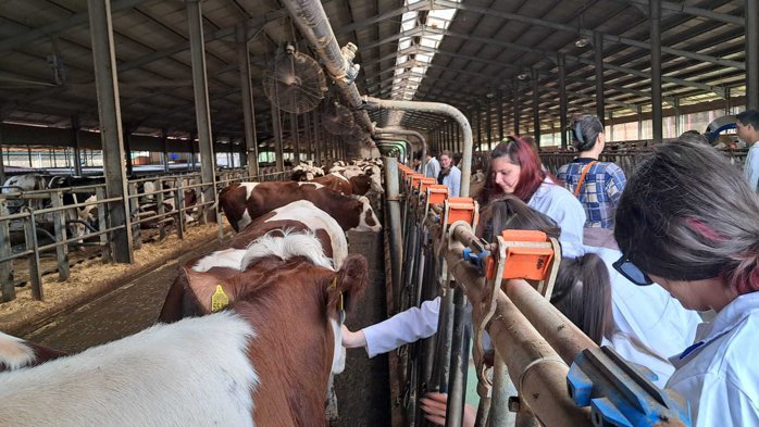 Unu din trei absolvenţi de liceu agricol nu a făcut nicio oră de practică, deşi 75% din fermieri spun ca i-ar primi şi că duc lipsă de personal. „Pentru a atrage tinerii în agricultură este nevoie de un efort conjugat al profesorilor, al guvernului şi al mediului de afaceri”