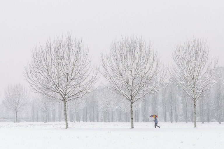Vremea februarie: meteorologii anunță temperaturi peste normal și precipitații abundente până la final de lună