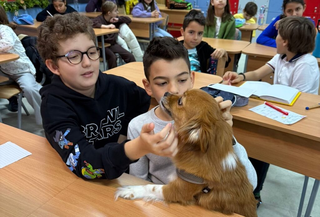 Zile decisive pentru opționalul „Ora cu și pentru animale”. Apelul lansat de Hilde Tudora pentru ca materia să fie extinsă la nivel național: „Vă rog din tot sufletul! E cel mai important proiect pentru mine!”