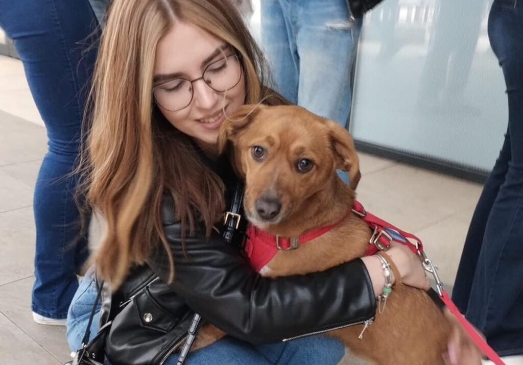 Ziua cățeilor la birou, o inițiativă care aduce relaxare și zâmbete în companii: Programul continuă în 2026. Află cum te poți înscrie