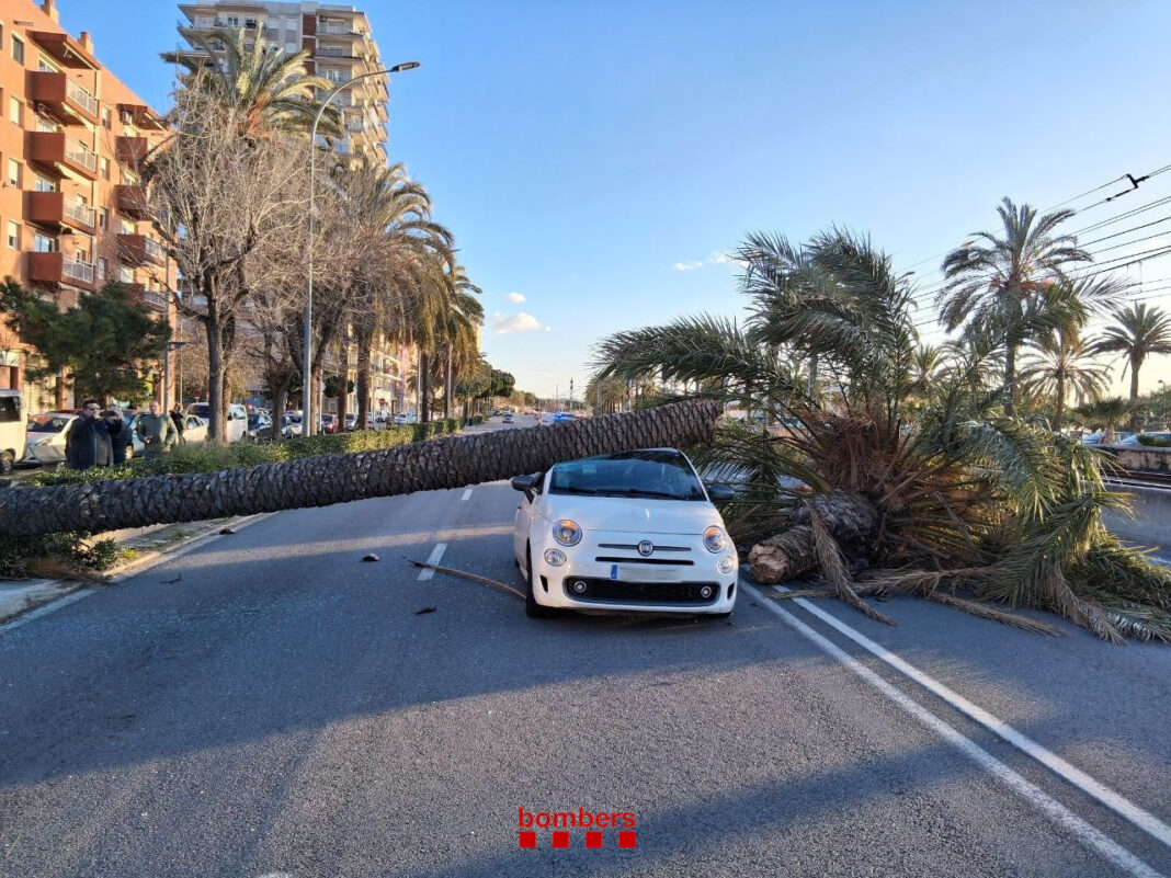 Alertă de vânt extrem în Catalonia: Traficul rutier afectat de rafale de aproape 170 km/oră / Cel puțin cinci persoane sunt rănite