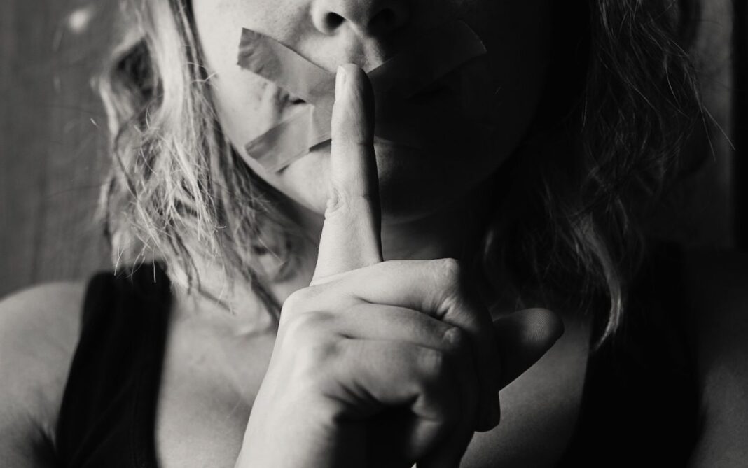 Alertă europeană de hărțuire în justiție pentru jurnalista Brîndușa Armanca și portalul Presshub