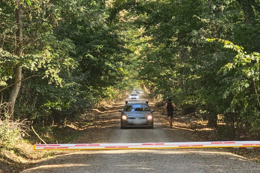 BREAKING Corpul de control al Ministerului Mediului propune sesizarea justiției pentru anularea contractului care permite accesul auto pe drumul din Pădurea Băneasa care face legătura cu cartierul Greenfield