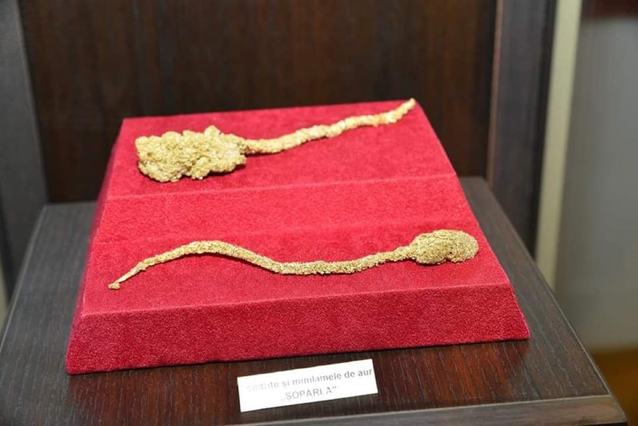 Bulgării uriași de aur din Apuseni, irezistibili pentru mineri. Femeia care a ascuns aproape un kilogram de aur în corp