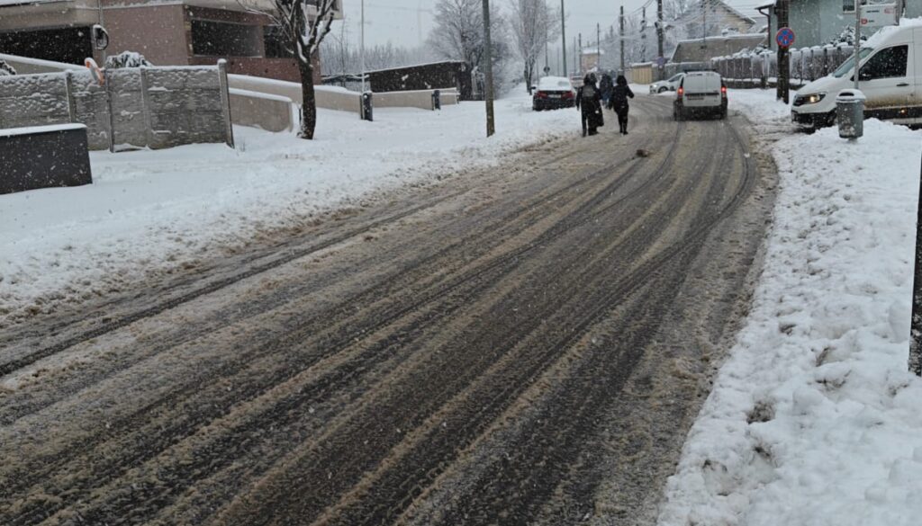 Buzoianu, întrebată dacă s-a îmbunătățit calitatea aerului în Capitală: Zăpada neagră din București, simbol al poluării