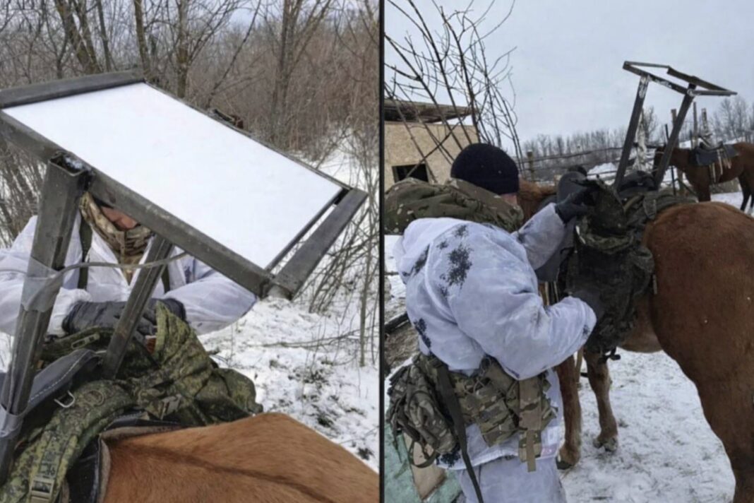 Când caii întâlnesc Starlink: cum au reapărut brusc călăreții în Ucraina, în era dronelor